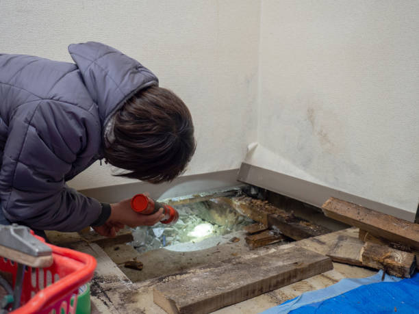 Mold Documentation for Insurance Claims in Nemacolin, PA